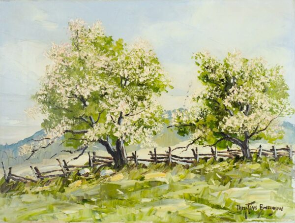Pommiers en Fleurs - Christian Bergeron