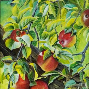 Pommes et Mésanges - Jules Bouchard