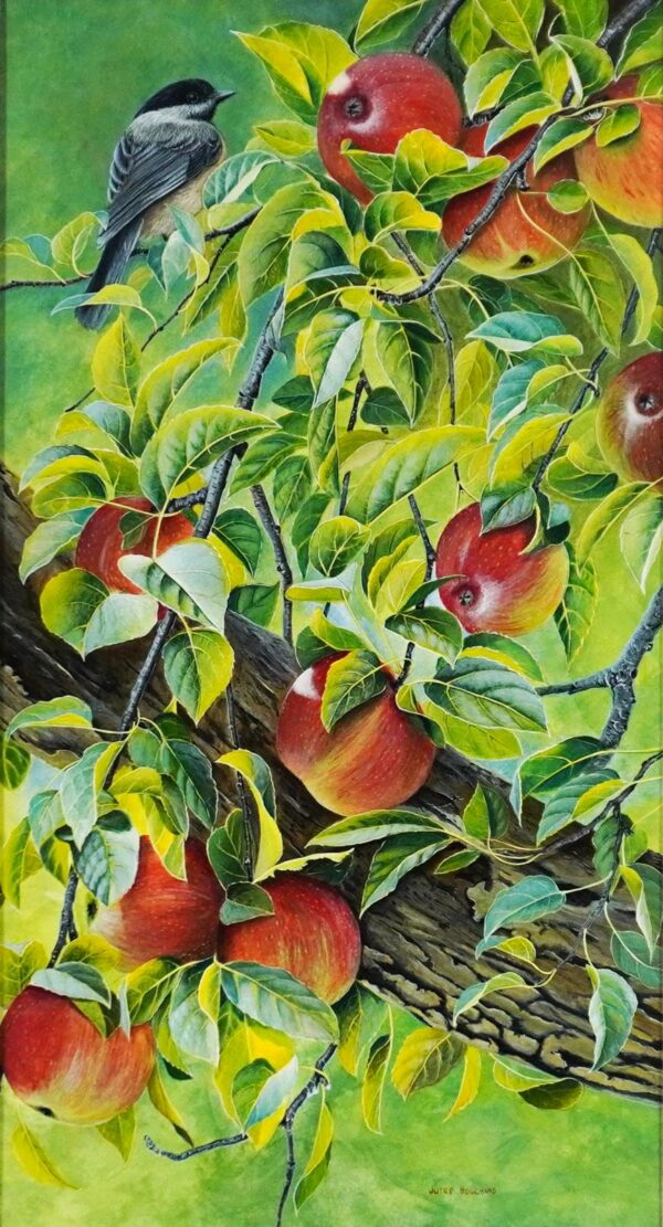 Pommes et Mésanges - Jules Bouchard