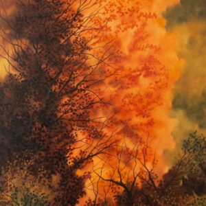 Nuance Orange - Claude Carette