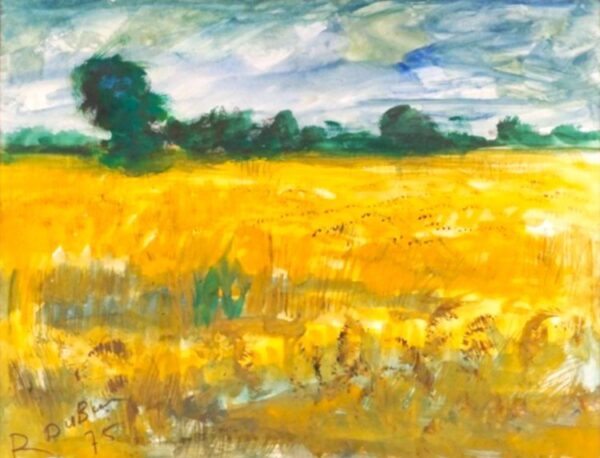 Paysage - Roland DuBuc