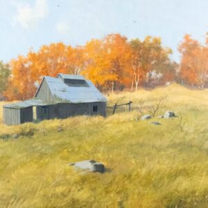 Shack near Shanneville - Alexis Arts