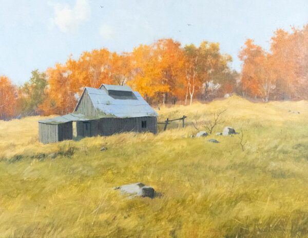 Shack near Shanneville - Alexis Arts